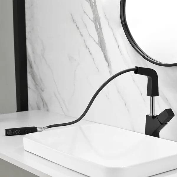 Black Modern Single Hole Bathroom Sink Faucet Dual Function Pull-Out Spray Faucet