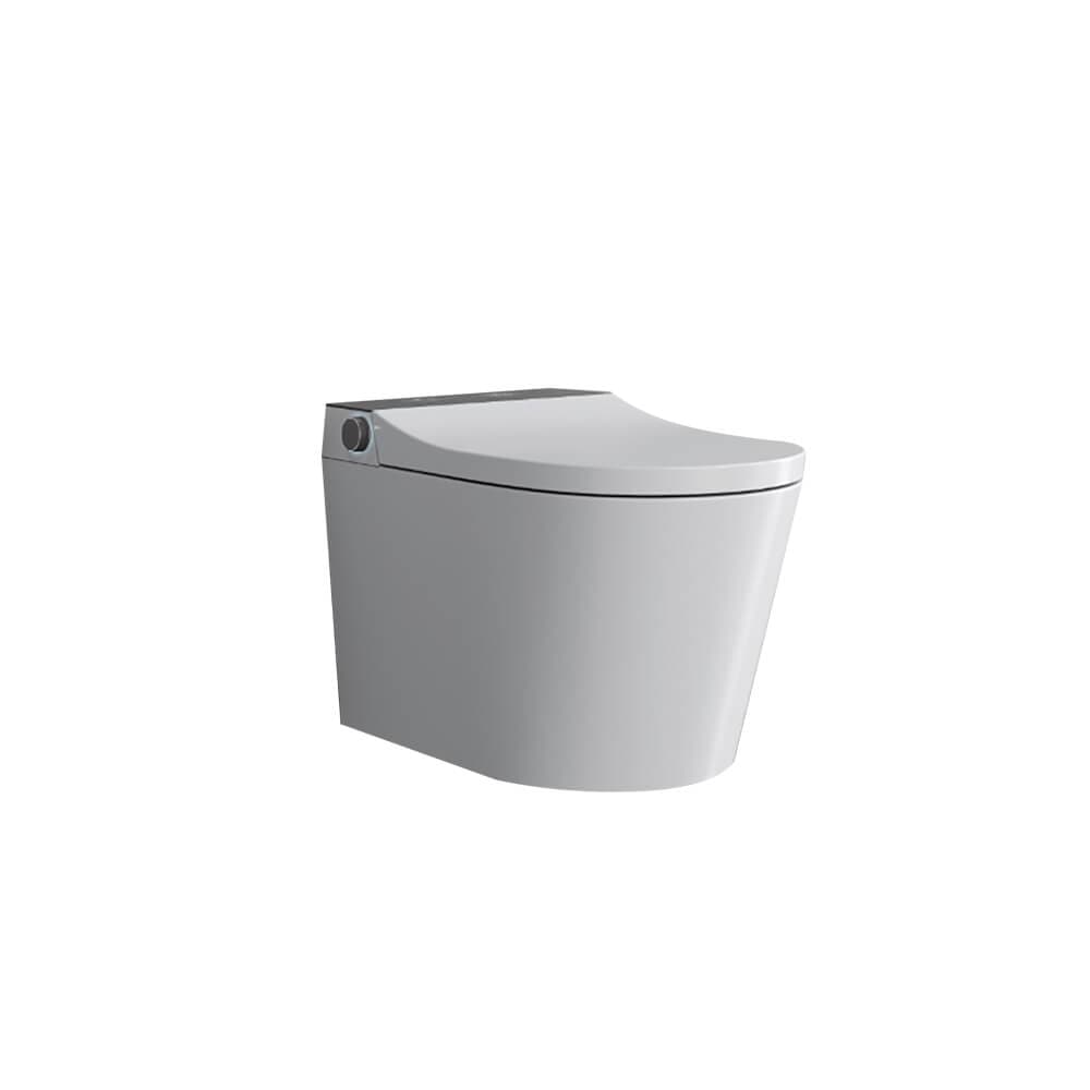 Elongated One-Piece Wall Mounted Smart Toilet with In-Wall Tank & Carrier System