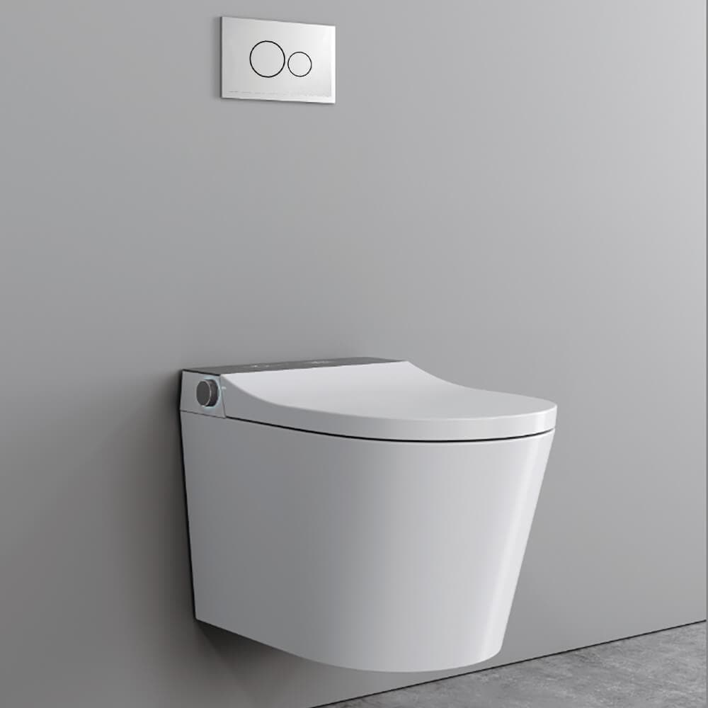 Elongated One-Piece Wall Mounted Smart Toilet with In-Wall Tank & Carrier System