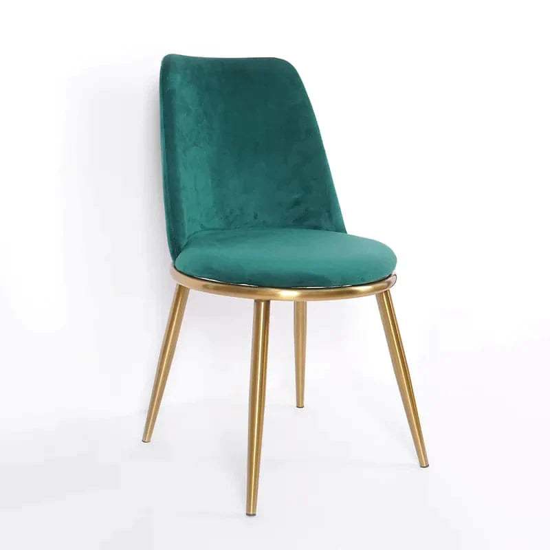 Modern Velvet Dining Chair High Back Upholstered Side Chair in Gold Legs Set of 2