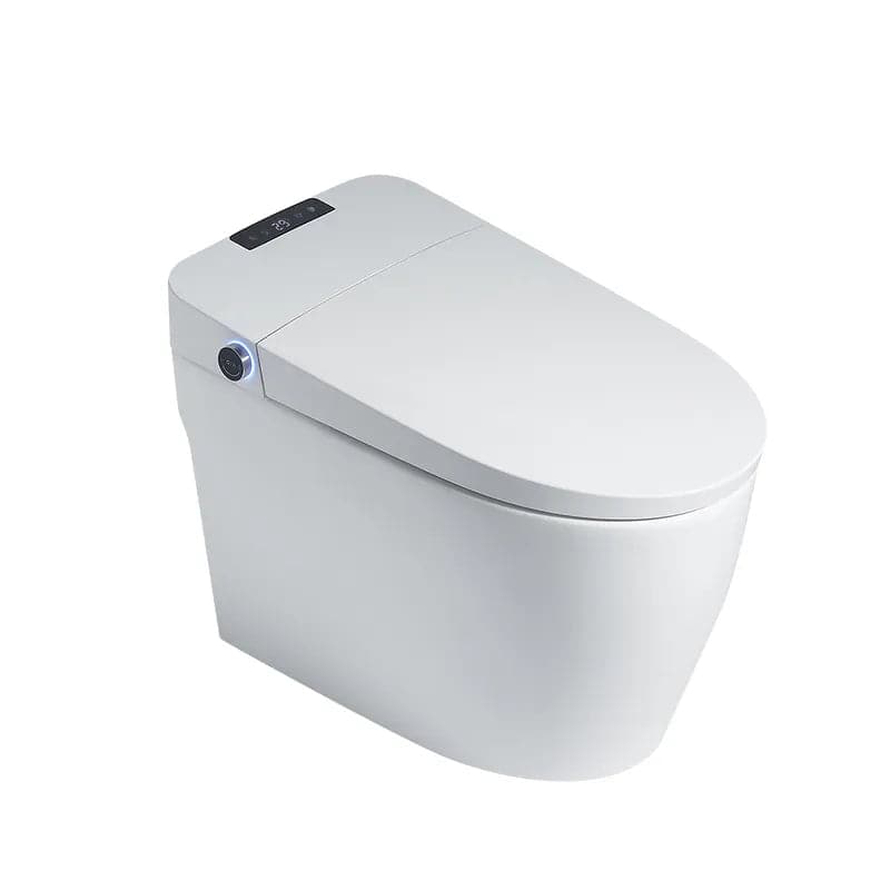 Floor Mounted Self Clean Smart Toilet Tankless Automatic Toilet One-Piece