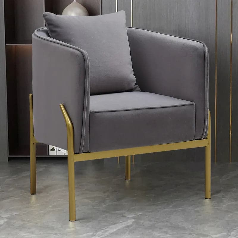 Gray Velvet Accent Chair Modern Upholstered Arm Chair with Gold Legs Pillow Included