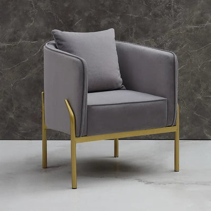 Gray Velvet Accent Chair Modern Upholstered Arm Chair with Gold Legs Pillow Included