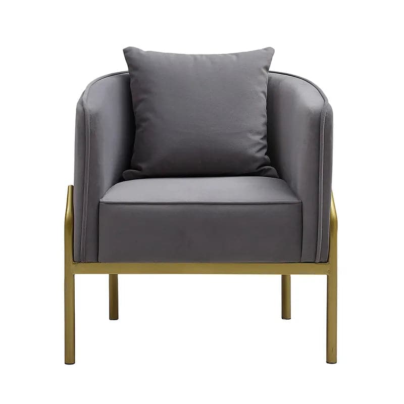 Gray Velvet Accent Chair Modern Upholstered Arm Chair with Gold Legs Pillow Included