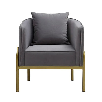 Gray Velvet Accent Chair Modern Upholstered Arm Chair with Gold Legs Pillow Included