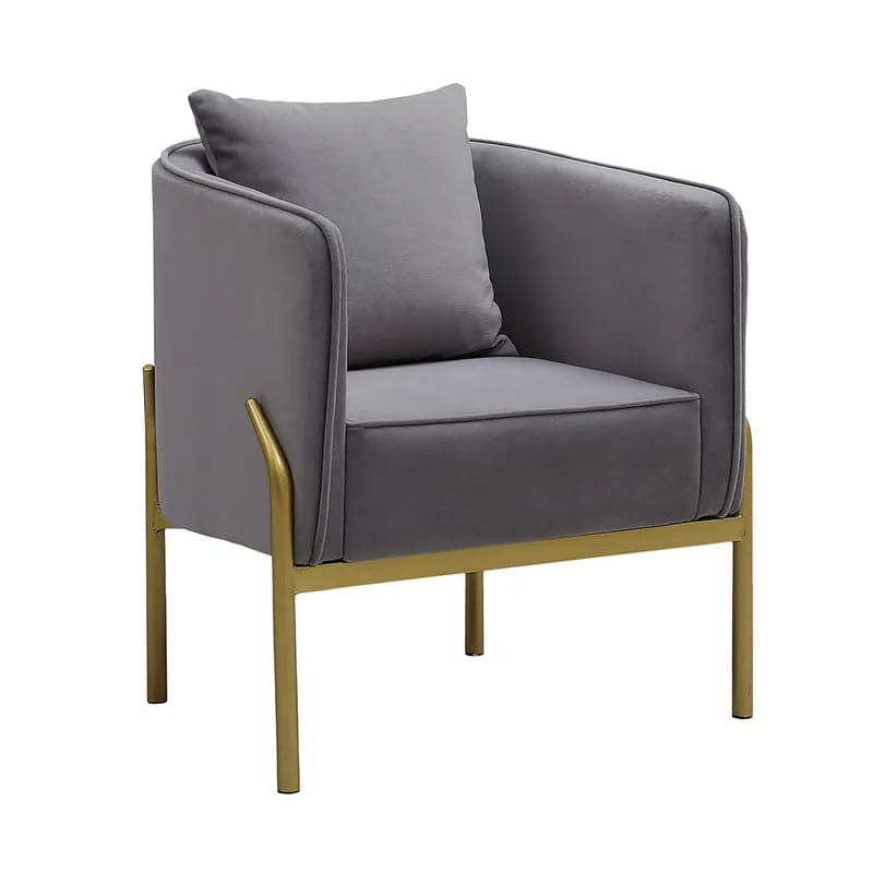 Gray Velvet Accent Chair Modern Upholstered Arm Chair with Gold Legs Pillow Included