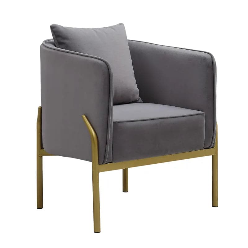 Gray Velvet Accent Chair Modern Upholstered Arm Chair with Gold Legs Pillow Included