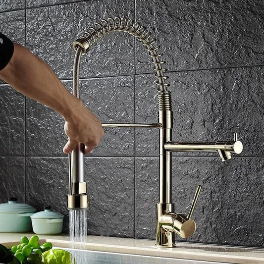 Luxury Pull Out Sprayer Kitchen Faucet Single Hole Double Spout Solid Brass