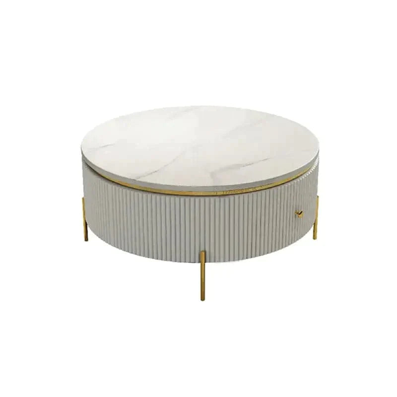 Modern Round Coffee Table with Storage Marble Accent Table Stainless Steel in Gold