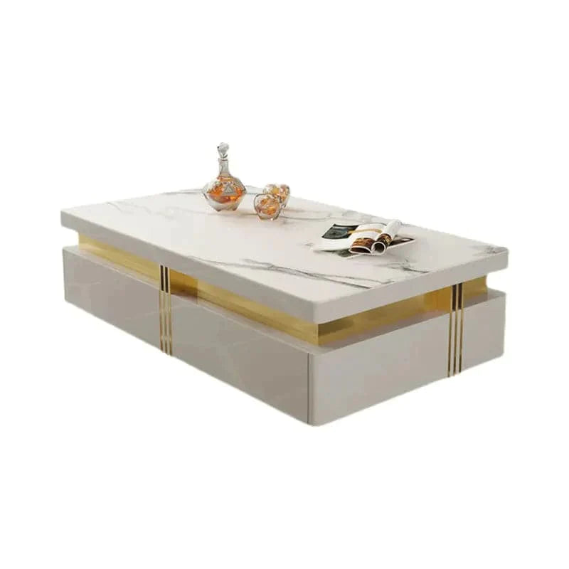 Modern Wood Coffee Table with Storage in White Center Table Stainless Steel Base